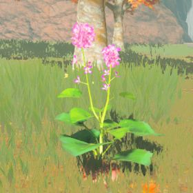 A picture of a big hearty radish from BoTW.