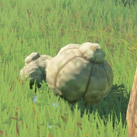 A picture of a big hearty truffle from BoTW.