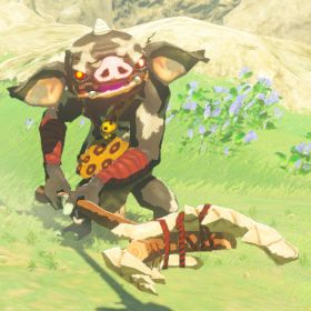black bokoblin