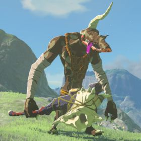 black moblin