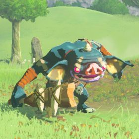 blue bokoblin