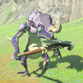 blue lizalfos