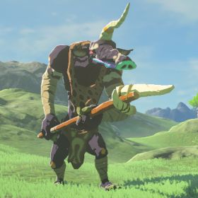 blue moblin