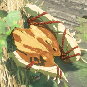 A picture of a dragonbone boko shield from BoTW.