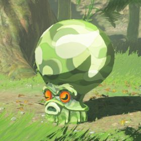 forest octorok