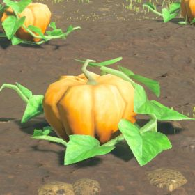 A picture of a fortified pumpkin from BoTW.