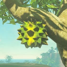 A picture of a hearty durian from BoTW.