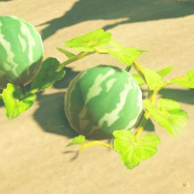 A picture of a hydromelon from BoTW.