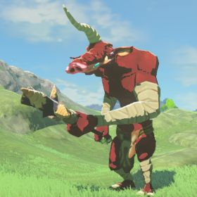 moblin