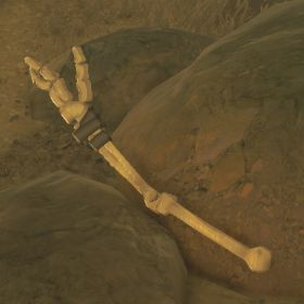 A picture of a moblin arm from BoTW.
