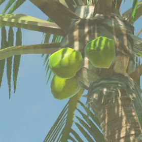 A picture of a palm fruit from BoTW.