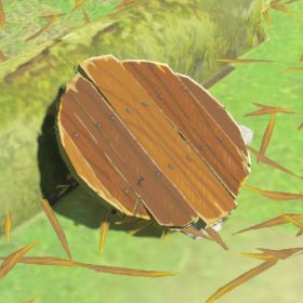 A picture of a pot lid from BoTW.