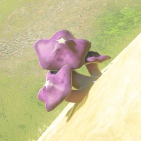 A picture of a rushroom from BoTW.