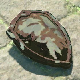 A picture of a rusty shield from BoTW.