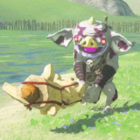silver bokoblin