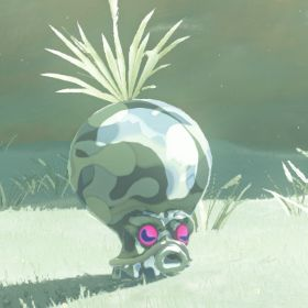 snow octorok