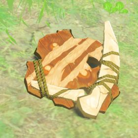 A picture of a spiked boko shield from BoTW.