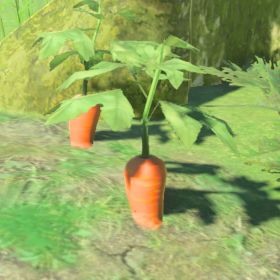 A picture of a swift carrot from BoTW.