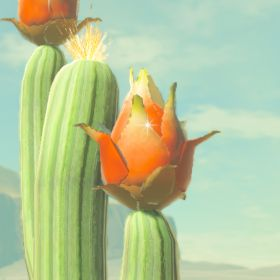 A picture of a voltfruit from BoTW.