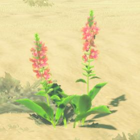 A picture of a warm safflina from BoTW.